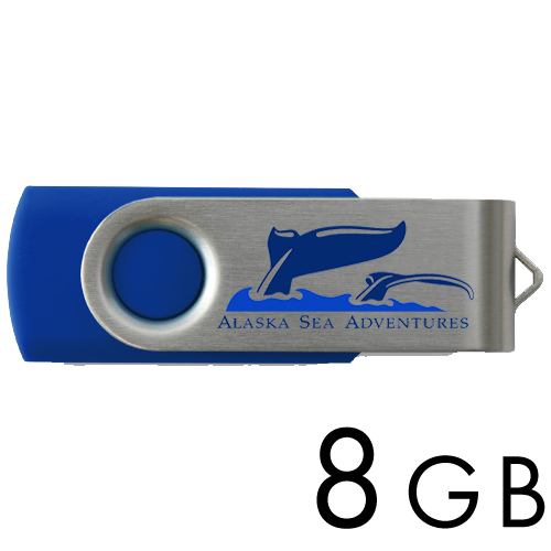 Printed USB 2.0 Flash Drives 8GB (Revolution Swivel)
