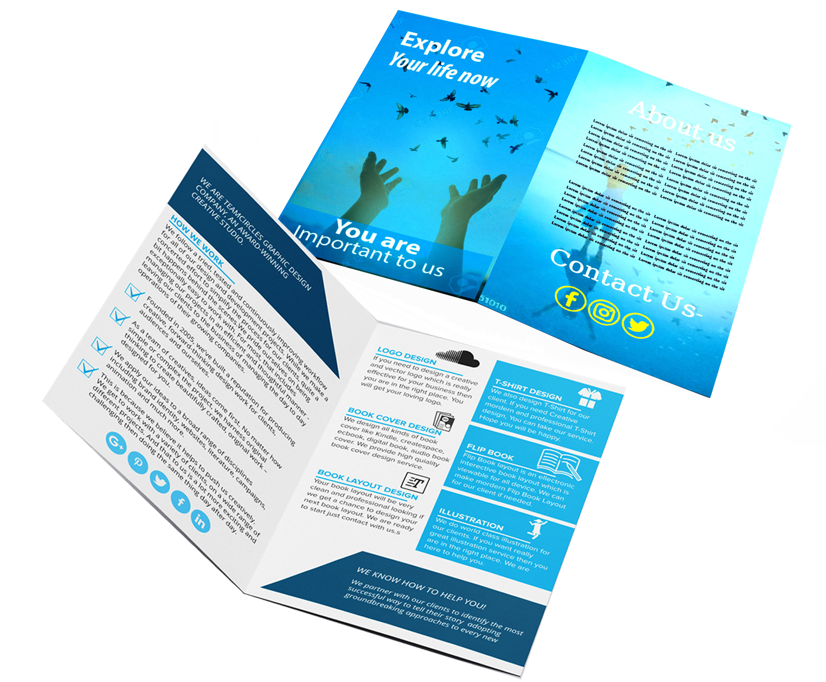 DVD 4 Panel Book Insert 4/4 Full-Color (Print Only)