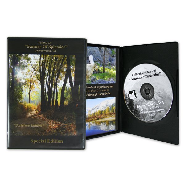 Dual-Layer DVDs in Slim DVD Boxes