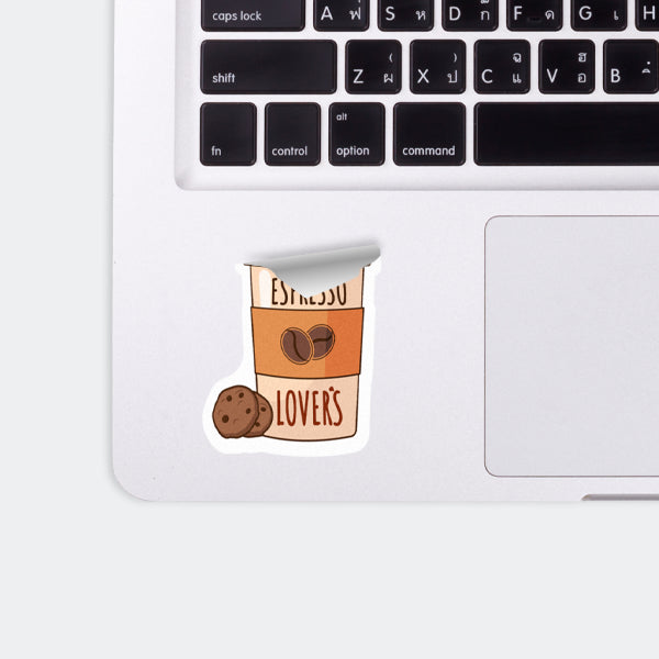 Laptop Stickers (100 pcs)